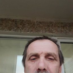 , 62, 