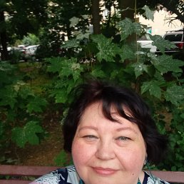 ���� �������, ����������, 53 ���� - ��������� 24 �������� 2025