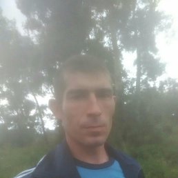 , 33, 
