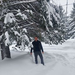 ����, ������, 39 ���