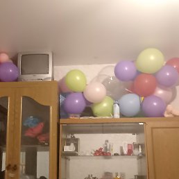 �����, ������, 49 ���