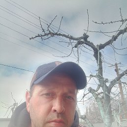 , 41, 