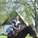 ���� ����, �����, 41 ��� - ��������� 27 ������� 2023 � ������ ���� ����������