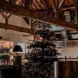 �������, �����������, 30 ���