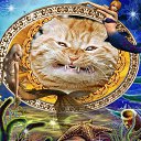 ���� ����, �����, 47 ��� - ��������� 20 ������� 2025 � ������ ���� ����������