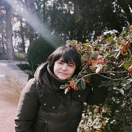 ���� �����, �����������, 59 ��� - ��������� 9 ������ 2024