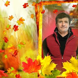 ���� ������, ����� - ��������� 24 ������� 2025