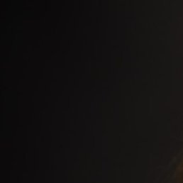 ��������, ����, 54 ����