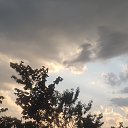 ���� ���, ������ - ��������� 7 �������� 2024