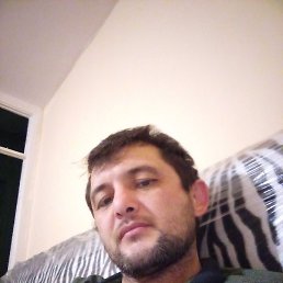 ���, ������, 41 ���