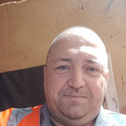  , 51, 