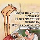 ���� ��������, �����-���������, 58 ��� - ��������� 15 ������ 2026 � ������ ���� ����������
