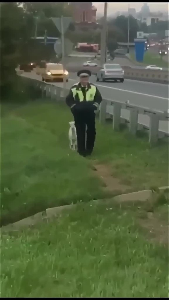����� ���� �������� ��������