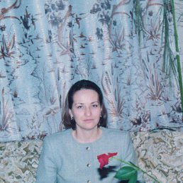 , 66, 