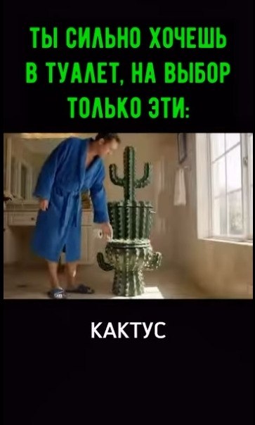 ������� �� ������ ����� ������, �� ���� �������, ��� �� �����!