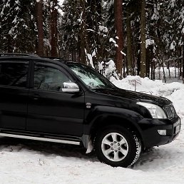 ���� ����������, �����, 38 ��� - ��������� 26 ������� 2024