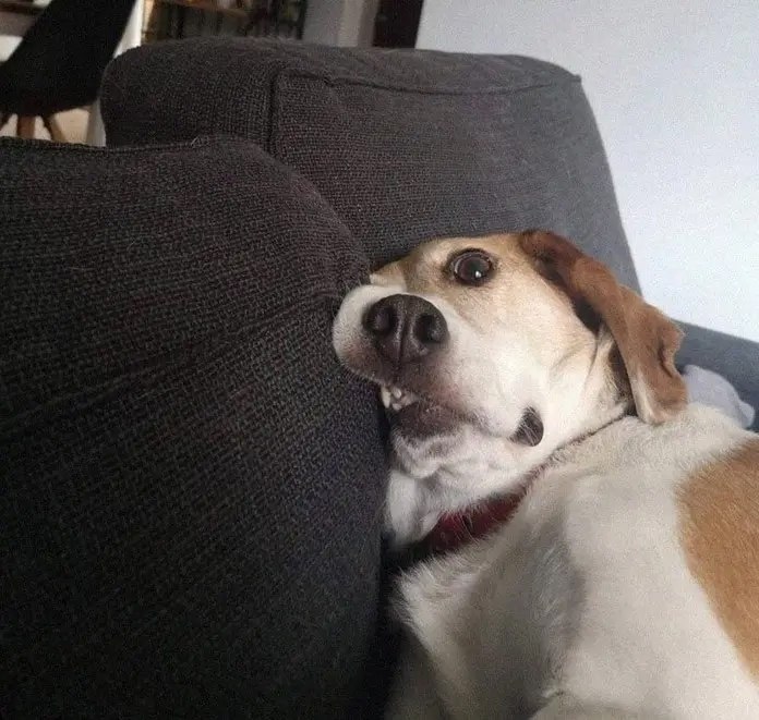 Фотогеничный парень