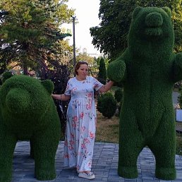 �����, �������, 41 ���