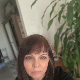 ���� �����, ������-���, 51 ��� - ��������� 3 ��� 2026