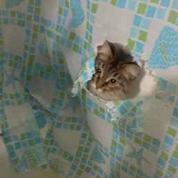 ���� ��������, ������ ��������, 61 ��� - ��������� 13 ������ 2023