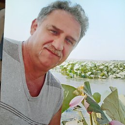 ������ ���������, 61 ���, �����������