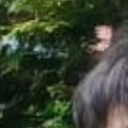 ������, ���������, 58 ���