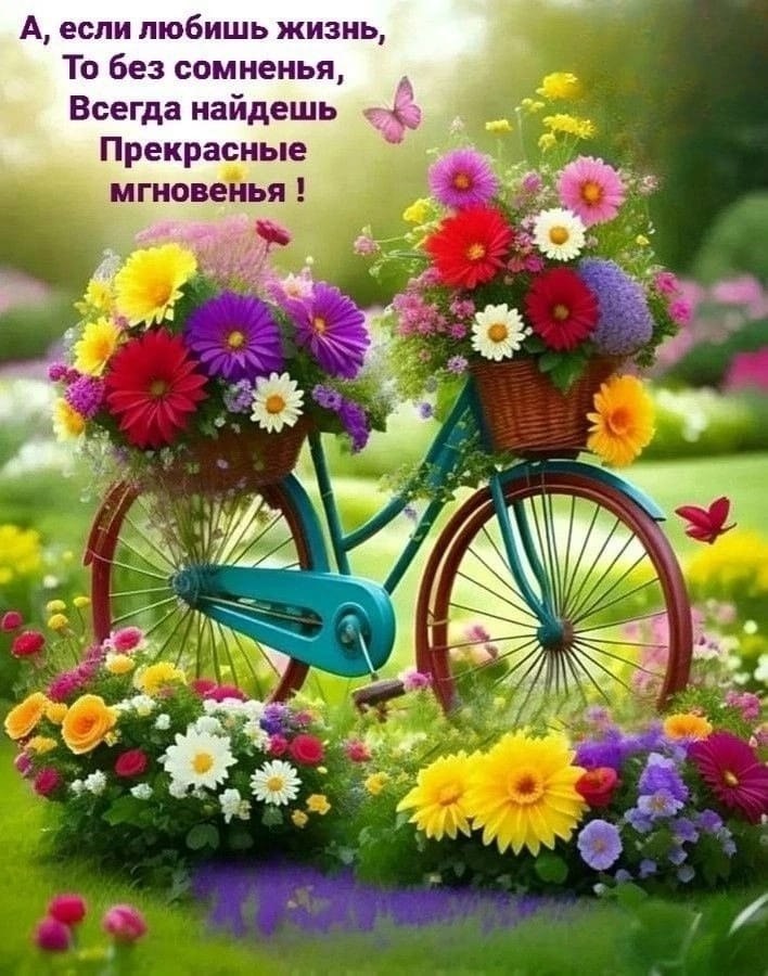   - 21  2025  13:31