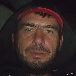 ������, ���������, 40 ���