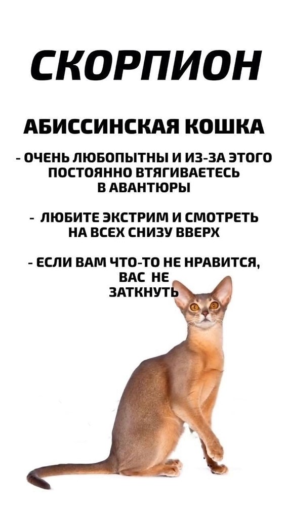       - 8