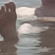 , 44 , 