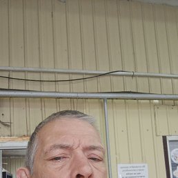 , 58, 