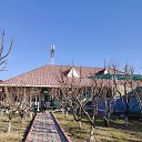 ��������� "�����" �� ������� ���� ����������