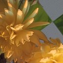 ���� �����, �������, 47 ��� - ��������� 23 ������� 2024 � ������ ���� ����������