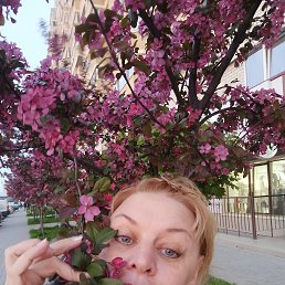, 48, 