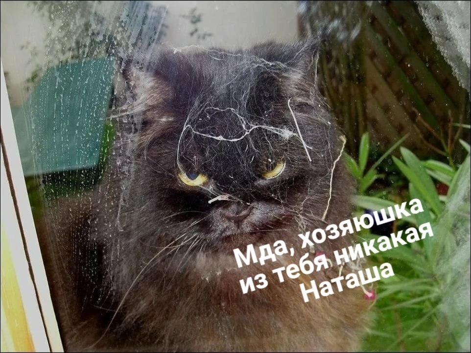 ��� ���� � ����� �� �� - 11 ��� 2026 � 16:55