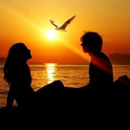 �, �����������, 47 ���