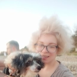 ���� �����, ������, 43 ���� - ��������� 20 ������� 2025