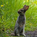 ���� ���, ������ - ��������� 2 ���� 2026 � ������ ������ ��������