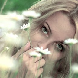 �����, ������, 35 ���