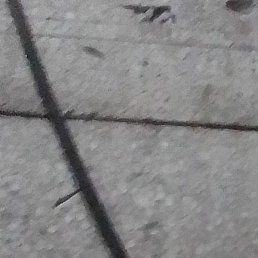 ����, �����������, 39 ���