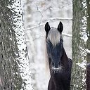 ���� �������, �������, 59 ��� - ��������� 4 ������ 2025