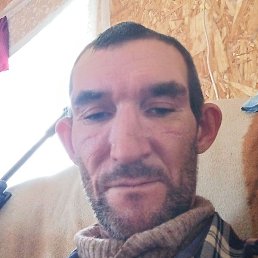 ������� ������, ����, 40 ���