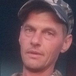 �������, ������, 37 ���