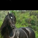 ���� ������ �������, ������, 46 ��� - ��������� 13 ������� 2026