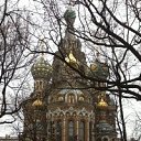 ���� ����, ������������, 43 ���� - ��������� 18 ������� 2023 � ������ ���