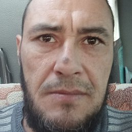 ��������, ������, 49 ���