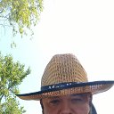 ���� �������, ���������, 41 ��� - ��������� 2 ������ 2026 � ������ ���� ����������