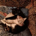 ���� �����, ���������, 53 ���� - ��������� 30 ������ 2025 � ������ ���� ����������
