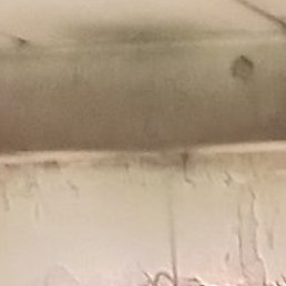 �����, ��������, 60 ���