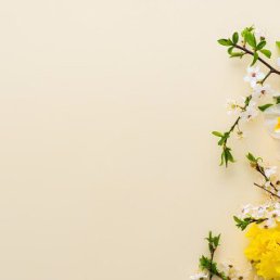 ���� Gulbahor, �������, 39 ��� - ��������� 20 ��� 2026